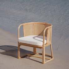 Carregar imagem no visualizador da galeria, Natura Dakota Rattan Arm Chair