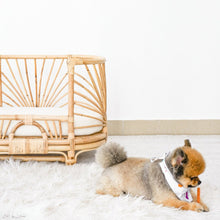 Cargar imagen en el visor de la galería, Natura Daisy Kids Silla Rattan
