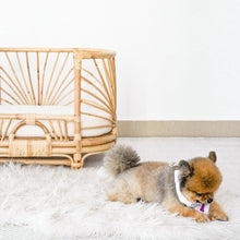 Cargar imagen en el visor de la galería, Natura Daisy Kids Silla Rattan
