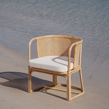 Carregar imagem no visualizador da galeria, Natura Dakota Rattan Arm Chair
